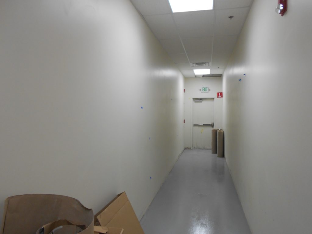 Commercial Painting Offices in Denver