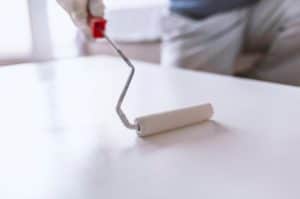 Do You Paint Door With Brush Or Roller? - Eco Paint, Inc.