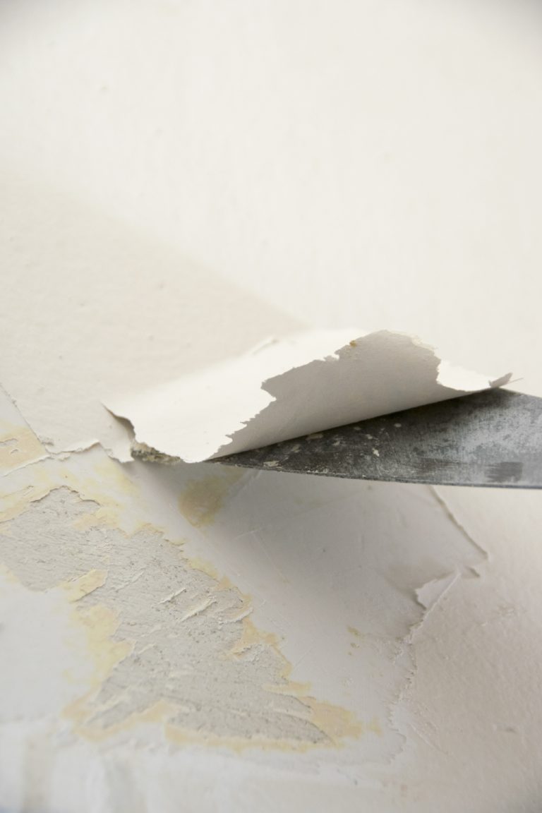 Root Causes Paint Blisters, Bubbles, Chips, Or Peels Eco Paint, Inc.