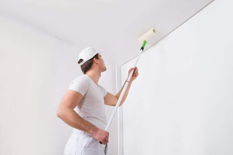 Best Ceiling Paint For Textured Ceilings Eco Paint, Inc.